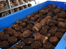 ショートステイ